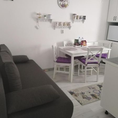 La Monica 2 - Cazare Straja - Lupeni - Retezat - Parang Apartment ภายนอก รูปภาพ
