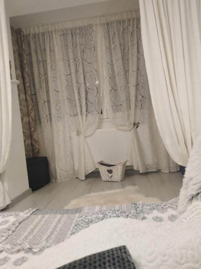 La Monica 2 - Cazare Straja - Lupeni - Retezat - Parang Apartment ภายนอก รูปภาพ