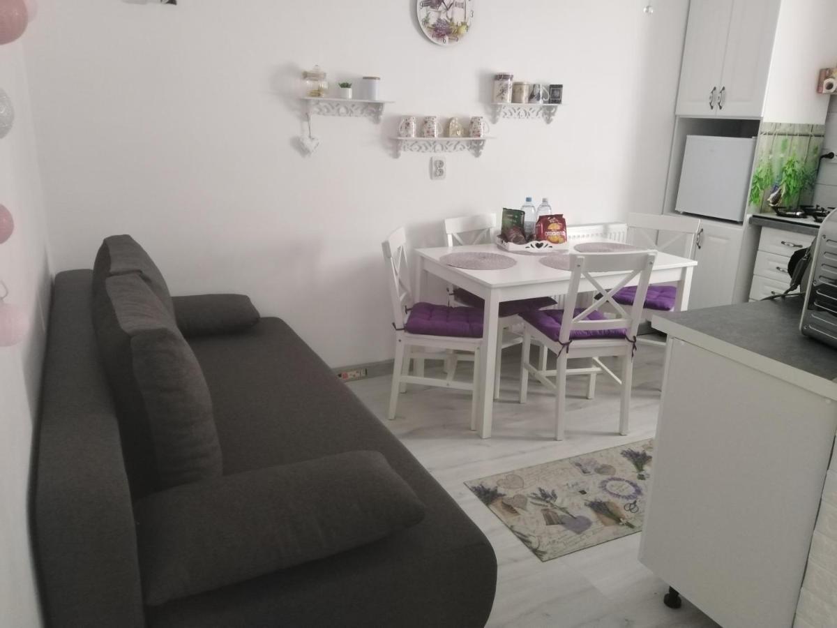 La Monica 2 - Cazare Straja - Lupeni - Retezat - Parang Apartment ภายนอก รูปภาพ